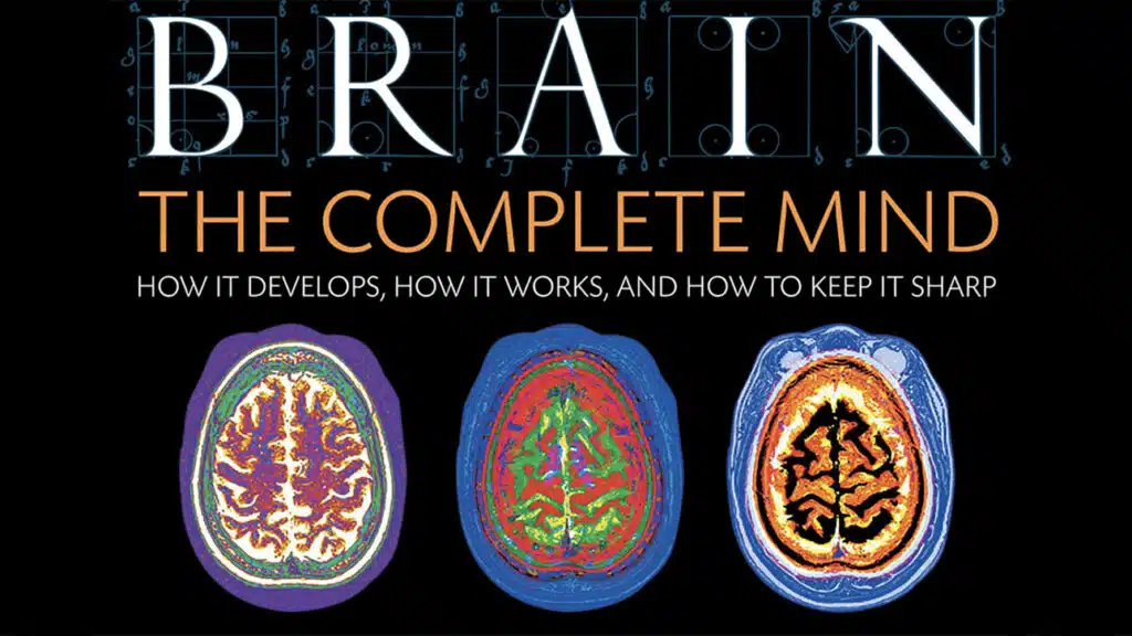 Brain, Michael S. Sweeney