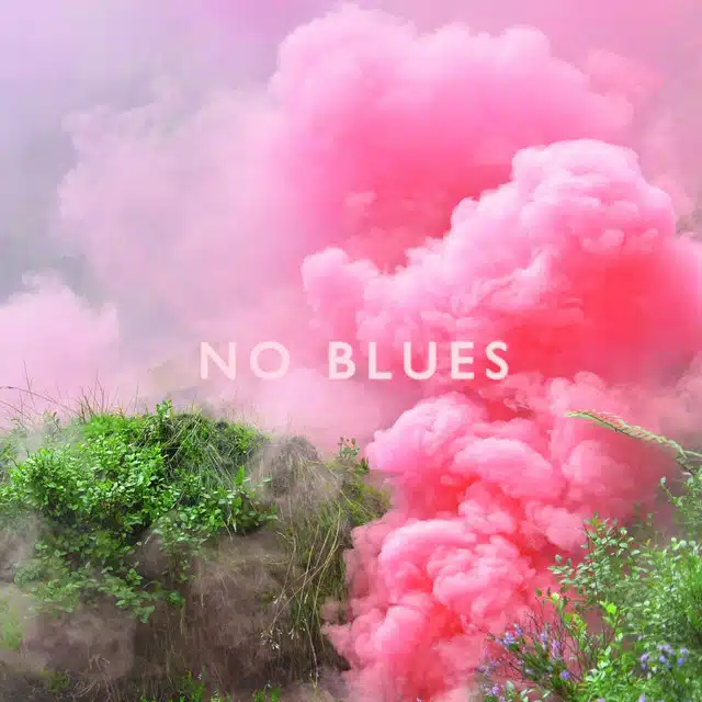 Los Campesinos No Blues