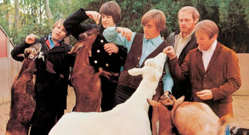 BEACH BOYS PET SOUNDS splash 2