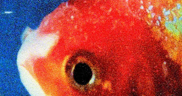 Vince Staples: Big Fish Theory