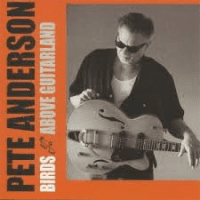 177446-pete-anderson-birds-above-guitarland