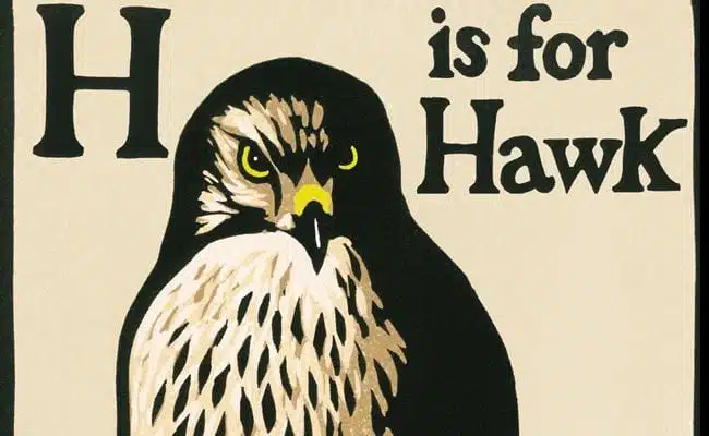 From Training Hawks to World War III: A Short List of Great 2015 Books