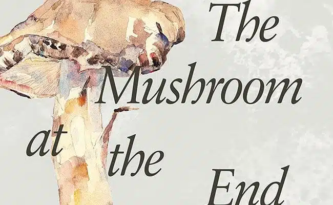 What Can Mushrooms Tell Us About the End of Capitalism?