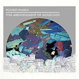 Pocket Panda: This Arrangement of Molecules