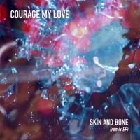 186680-courage-my-love-skin-and-bone-remix-ep