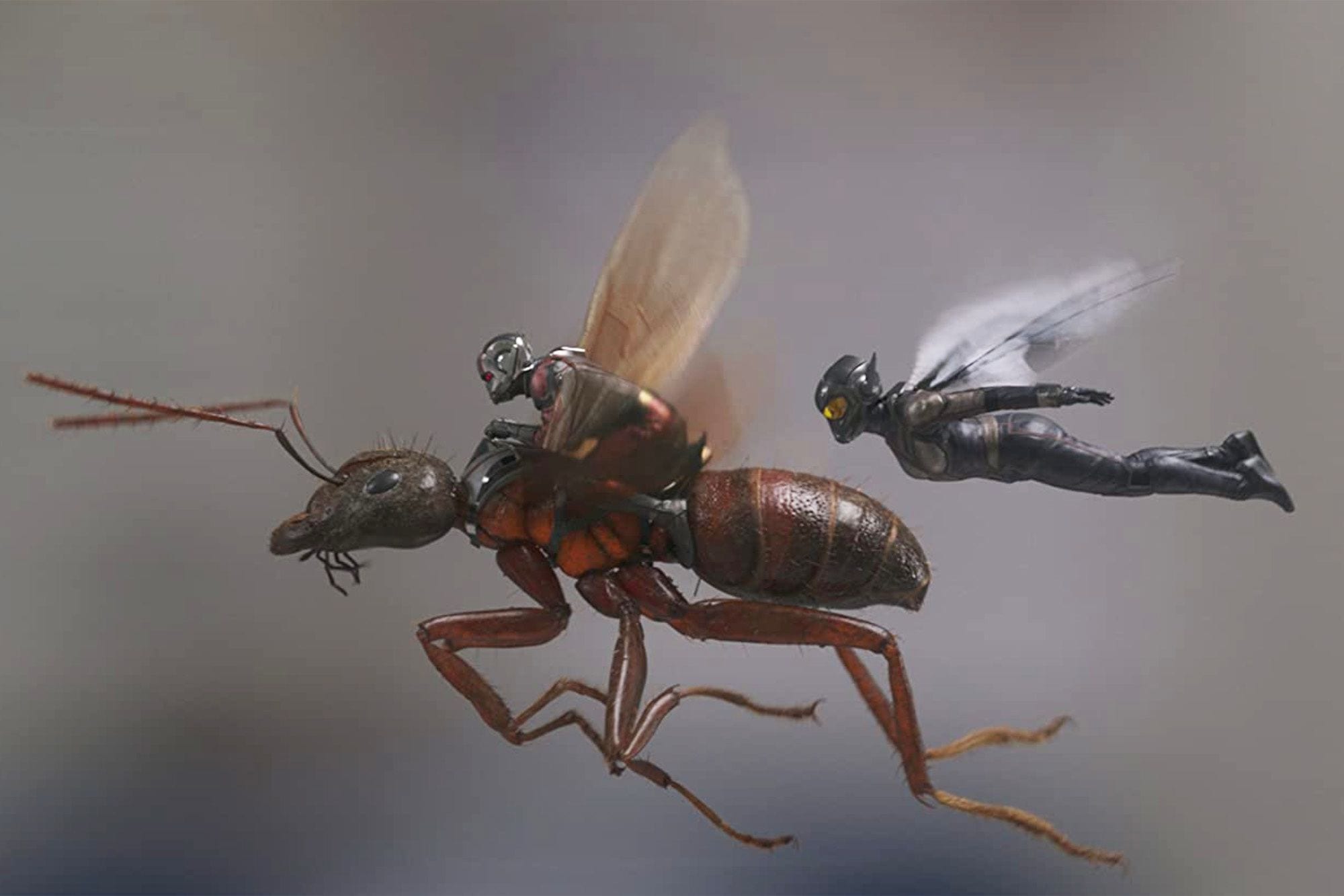 IMDb on the Scene - Interviews Ant-Man and the Wasp (TV Episode 2018) -  IMDb