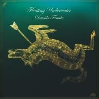 Daisuke Tanabe: Floating Underwater