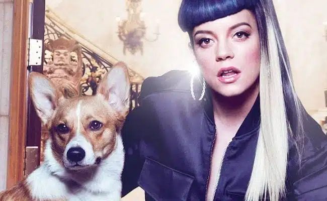 181499-lily-allen-sheezus