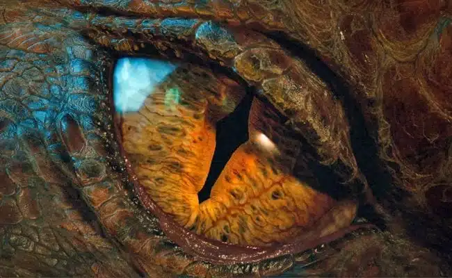 It May Be Titled ‘The Hobbit’, But It’s All About the Dragon