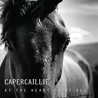 180095-capercaillie-at-the-heart-of-it-all