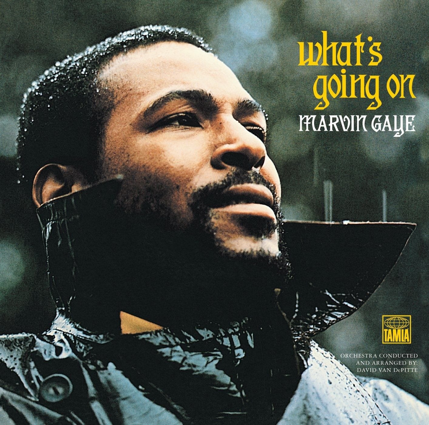 marvin-gaye-whats-going-oo