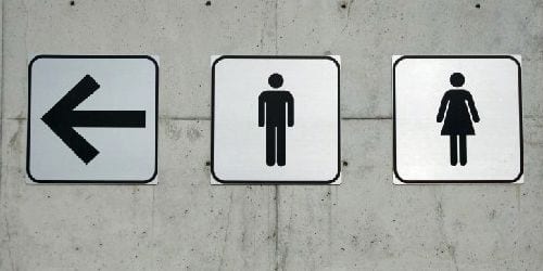 Number One or Number Two: ‘Toilet’ Seeks to Dismantle the Bathroom Code ...