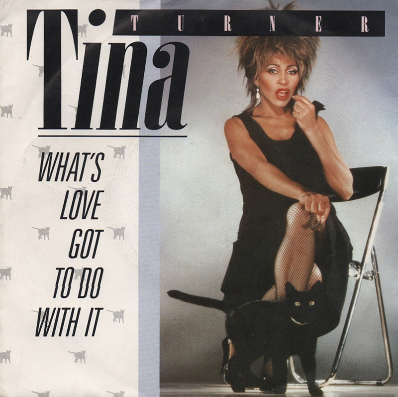 Tina Turner "What's Love Got to Do With It"