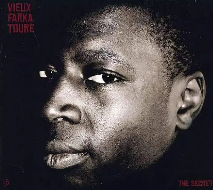 Vieux Farka Toure - The Secret