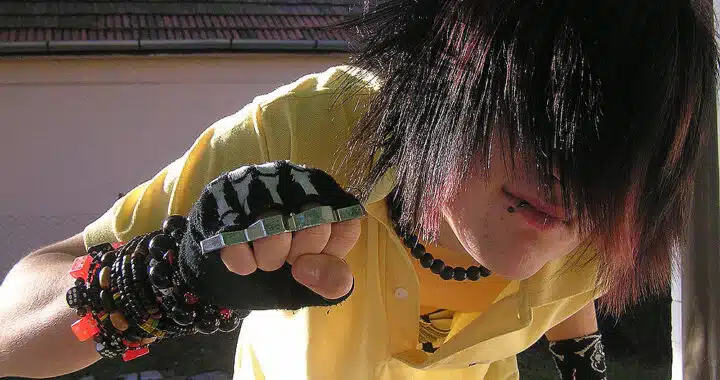 From Hardcore to Harajuku: The Origins of Scene Subculture