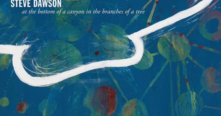Steve Dawson’s ‘At the Bottom of a Canyon in the Branches of a Tree’ Is Exquisite