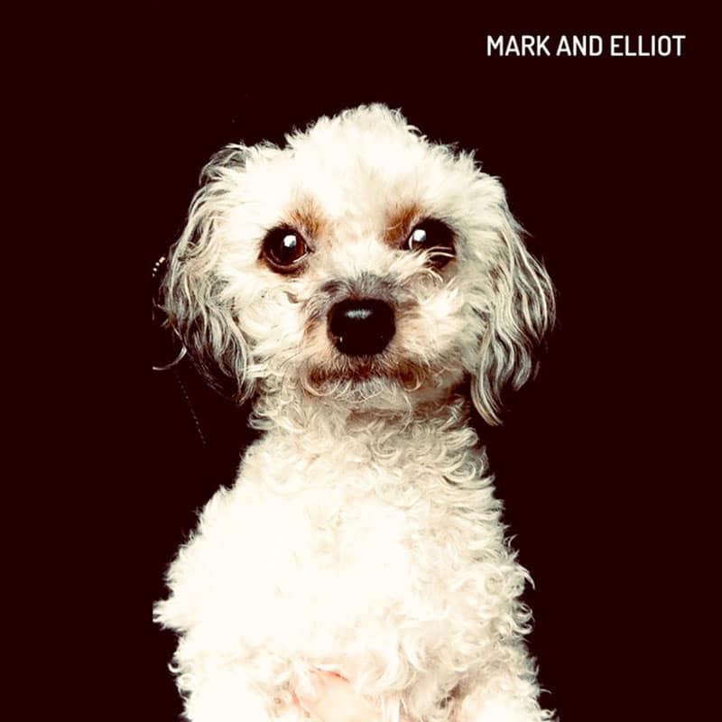 Mark and Elliott