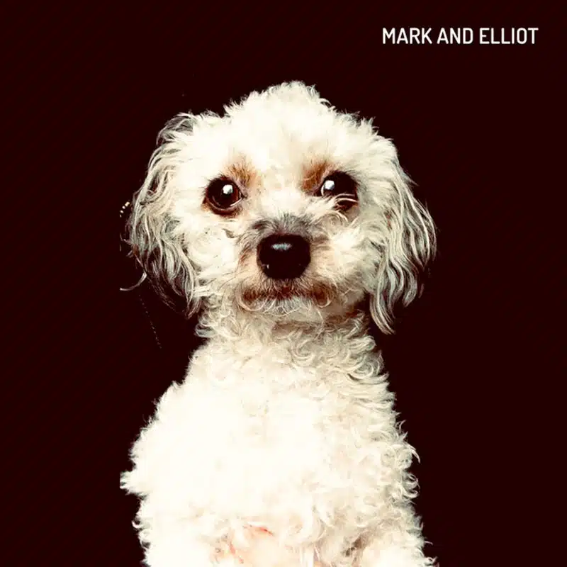 Mark and Elliott