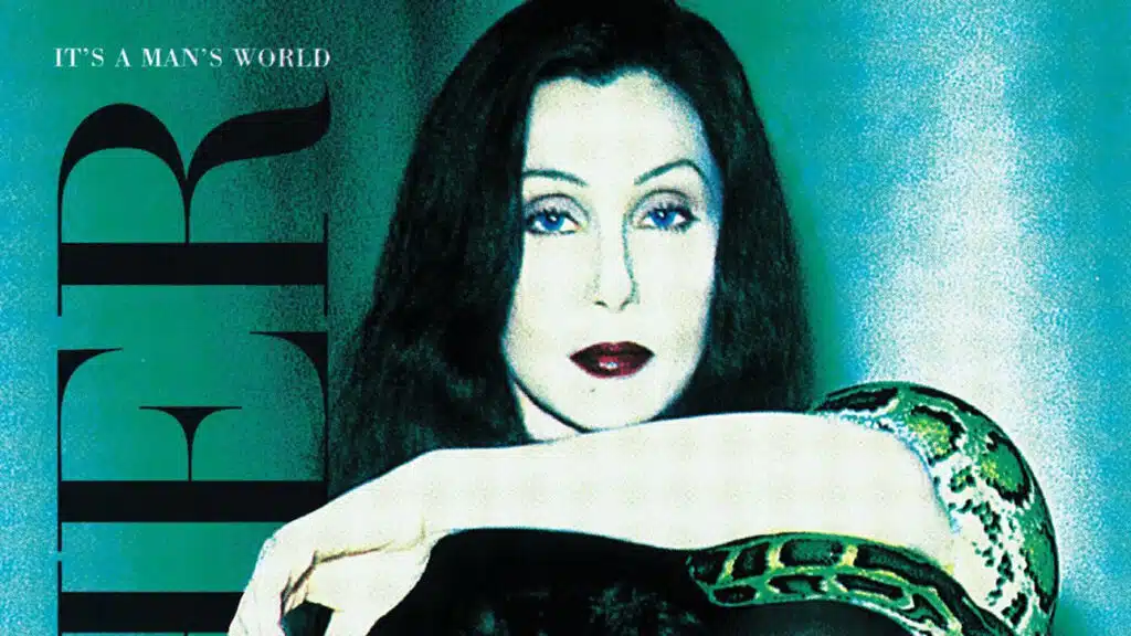 Cher It's a Man's World