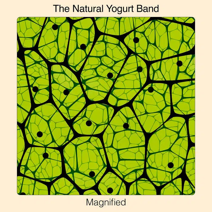 The Natural Yogurt Band Magnified