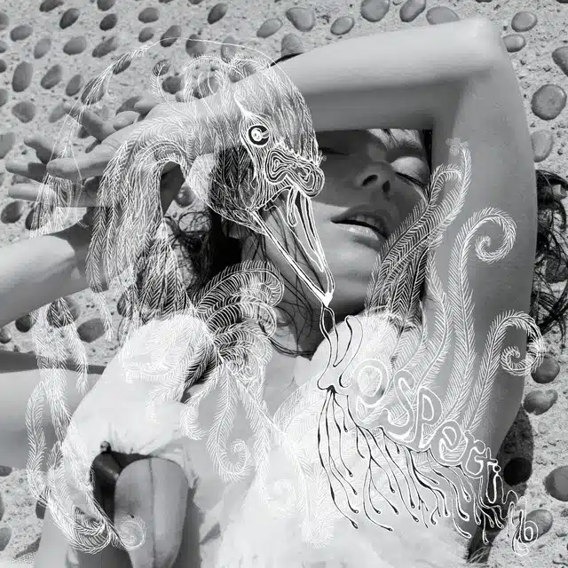 Bjork Vespertine