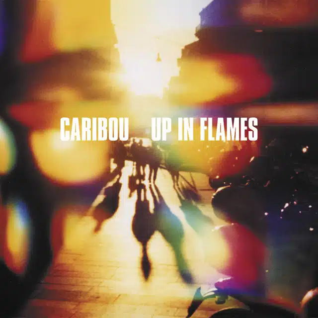 Caribou Up in Flames