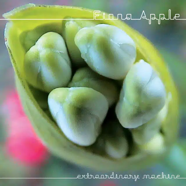 Fiona Apple Extraordinary Machine