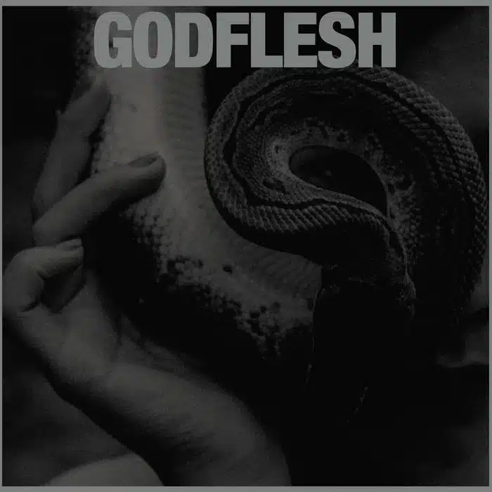 Godflesh Purge