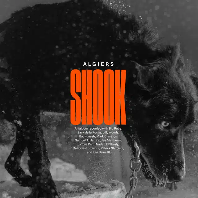 Algiers – Shook