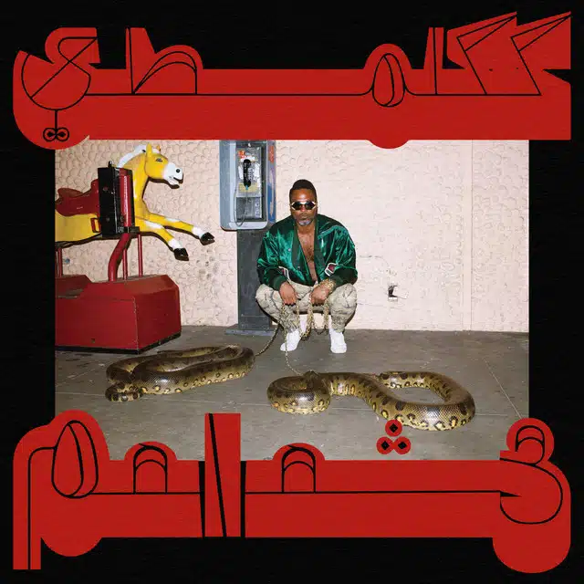 Shabazz Palaces Robed in Rareness