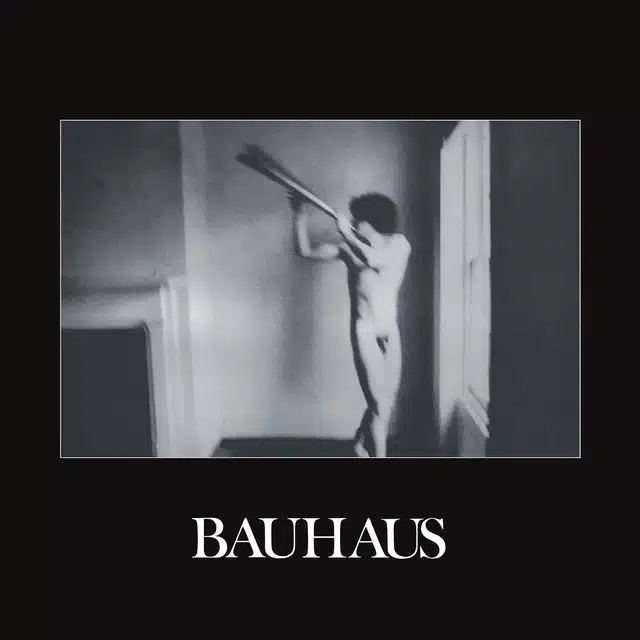 Bauhaus In the Flat Field