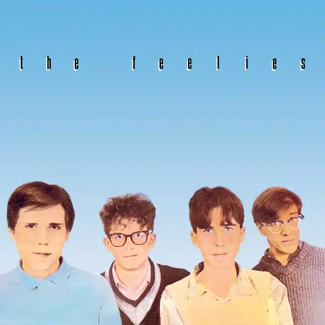 The Feelies Crazy Rhythms