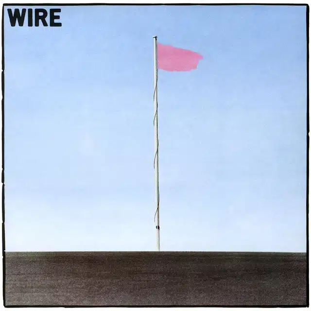 Wire Pink Flag