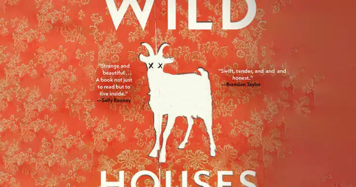 Colin Barrett’s Debut Novel ‘Wild Houses’ Unfolds Predictably