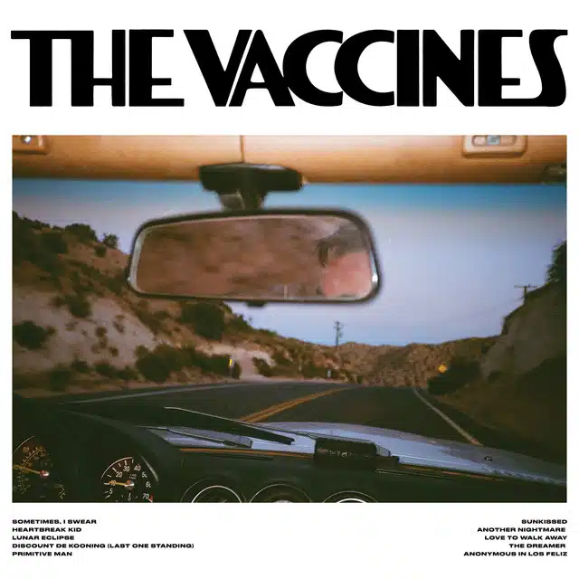 THE VACCINES Pick Up Full of Pink Carnations