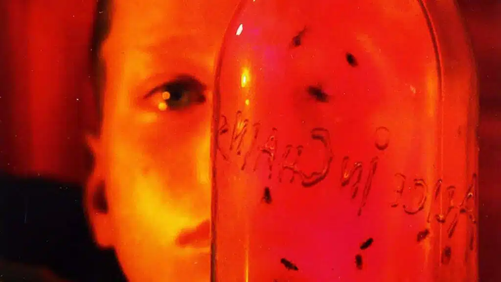 Alice in Chains, Jar of Flies