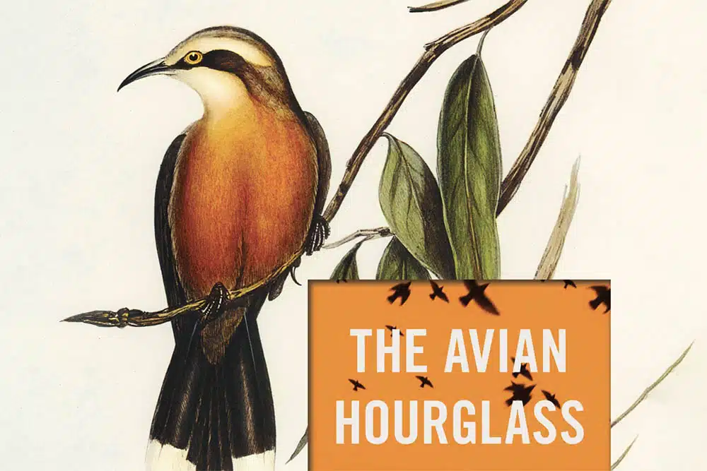 The Avian Hourglass, Lindsey Drager